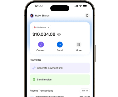 Multicurrency Wallet App mockup