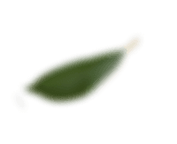 leafblur